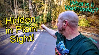 This is HIDING in a Parking Lot! What is it Wednesday