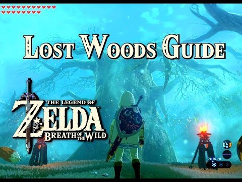 lost woods dubstep remix - ephixa 10 hours lost woods dubstep remix - ephixa 10 hours