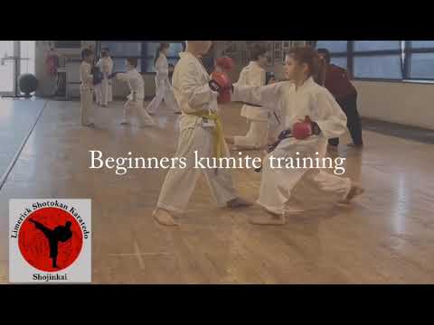 NEW: KARATE KIDS KUMITE FOR BEGINNERS