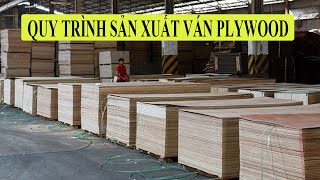 Quy trình sản xuất ván Plywood (gỗ dán) nhà máy sản xuất ván ép #Fuvico