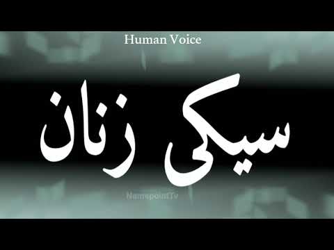 How To Pronounce سیکی زنان In English | Pronunciation Of سیکی زنان | How To Say سیکی زنان