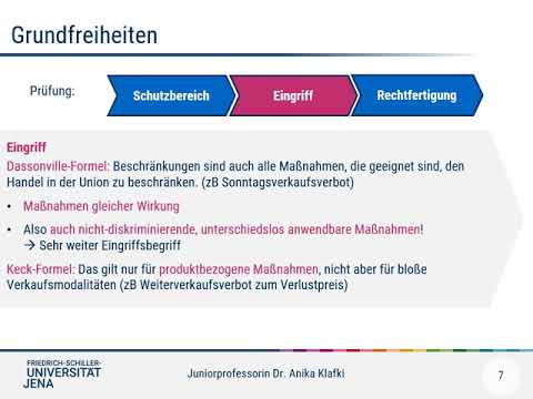 Wiederholung Grundfreiheiten