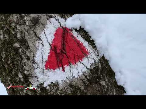 Traseu prin Drumul Serpentinelor către Vârful Tâmpa, Ruinele Cetății Brassovia, jud. Brașov, România