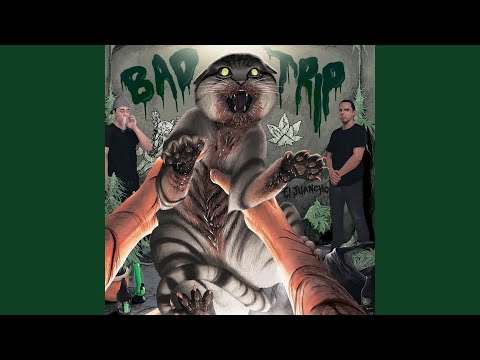 Bad Trip