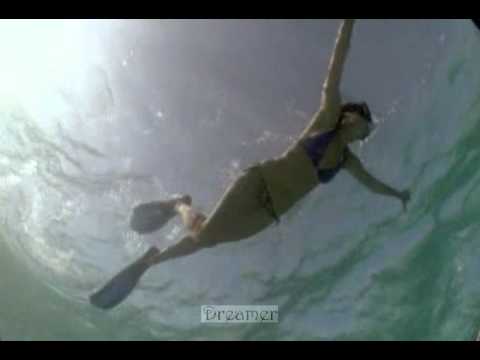 Bachelor 16 - Whose Ready to Swim with Sharks?