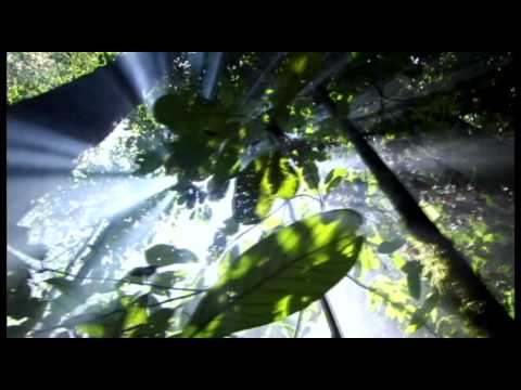 Siya Siyabend - Dostum Dostum