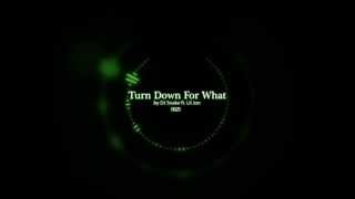 DJ Snake ft Lil Jon -  Turn Down for What (OFFICIAL)