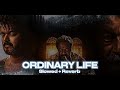 ORDINARY PERSON Slowed Reverb LEO