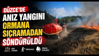  Düzcede Anız Yangını Ormana Sıçramadan Söndürüldü