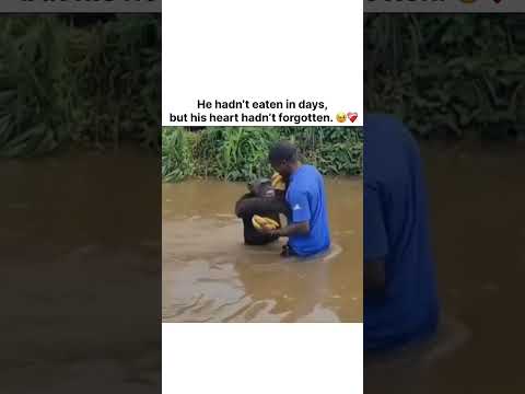 He hadn’t eaten in days, but his heart hadn’t forgotten.  ❤️‍🩹🥹