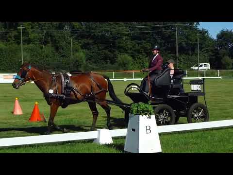 Fahrturnier Dörenthe 12.6.2022