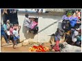 Kondayampalli Komban Jallikattu Whatsapp Status Video
