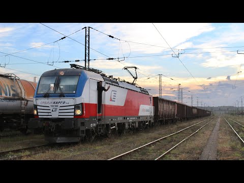 Serbia Cargo 193 904 at Belgrade Marshalling Yard - 22/10/22