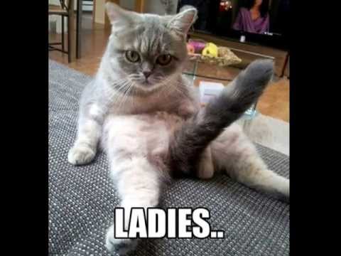 Leave You Far Behind - Lunatic Calm feat. Elite Force