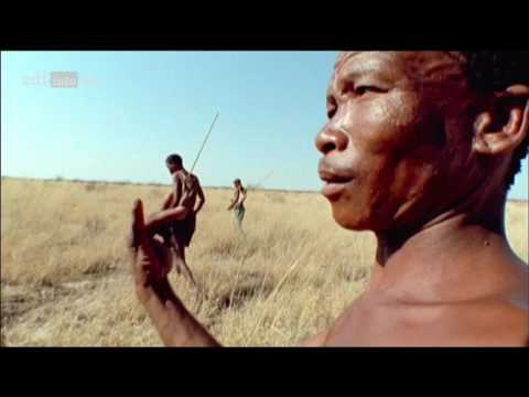 [Doku] Die ganze Wahrheit über Fitness - Wie viel Bewegung brauchen wir wirklich [HD]