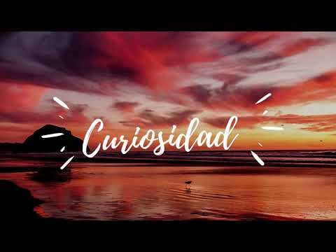 Curiosidad - Nico Rengifo