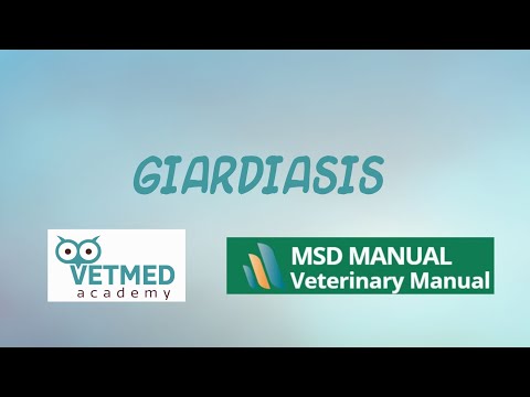 Giardia natural treatment