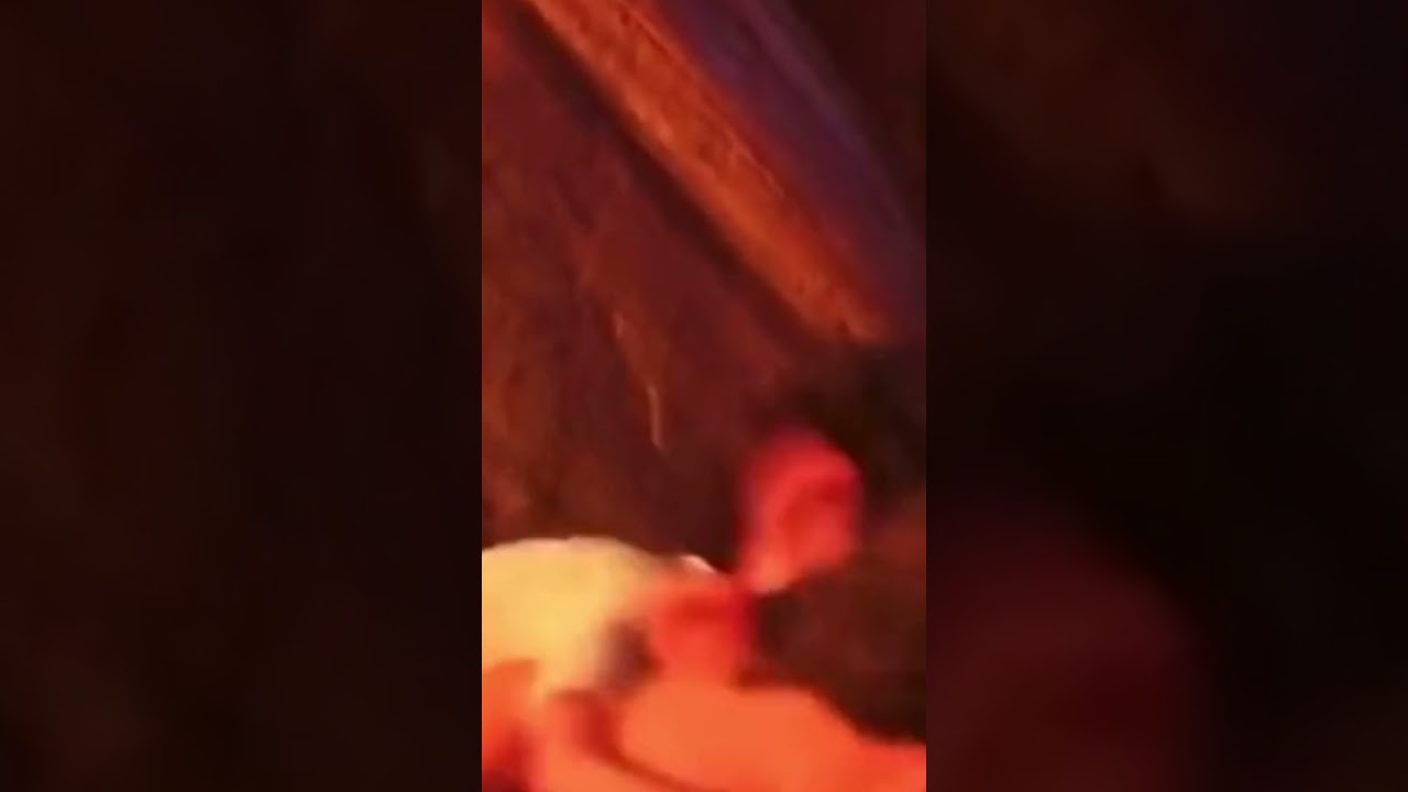 Did alberto and luca just kiss😳😳😳