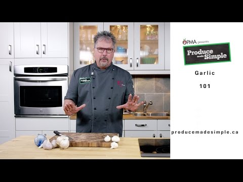 Everything you wanted to know about Garlic