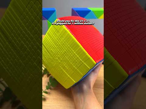 2,000+ Parts in this Rubiks Cube…. Would you fix it for $1,000,000? 😱