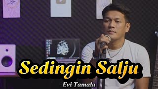 Download lagu SEDINGIN SALJU - EVI TAMALA ( COVER SLOW POP VERSION BY ZANCA mp3