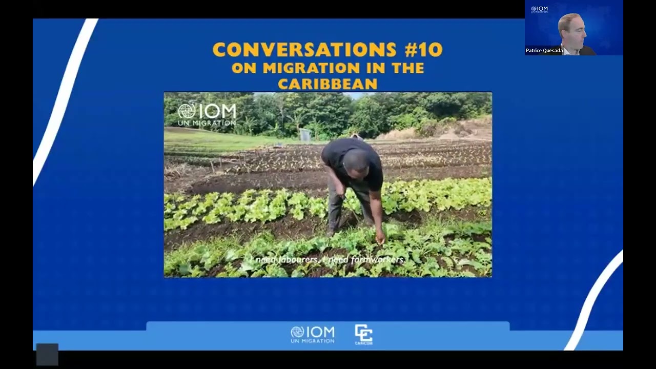 CONVERSATIONS on Migration in the Caribbean Ep10: The Caribbean Workforce: Filling the Gaps