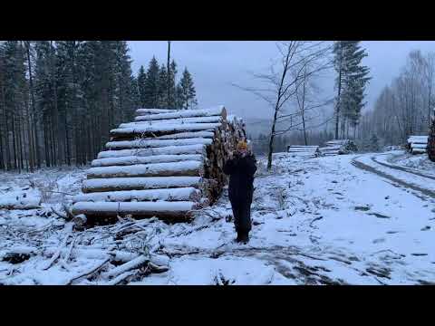 Jagdsignal Jagd vorbei und Halali