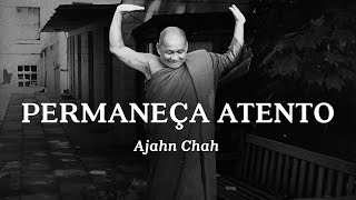 Ajahn Chah - Permaneça Atento