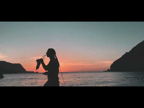 Brlee Teaser 4 Album 'Visions'