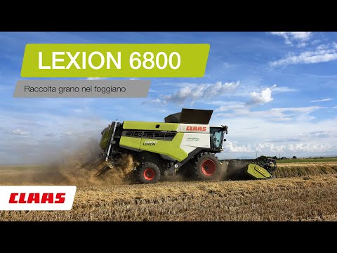 CLAAS In Campo 2020. LEXION 6800 Grano nel foggiano