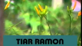 Download lagu Kalaulah Kaca Jadi Intan-Tiar Ramon mp3