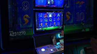 TOP LINE BRINGS BIGWIN! #slot #luckylady #bigwin #gamblinggame