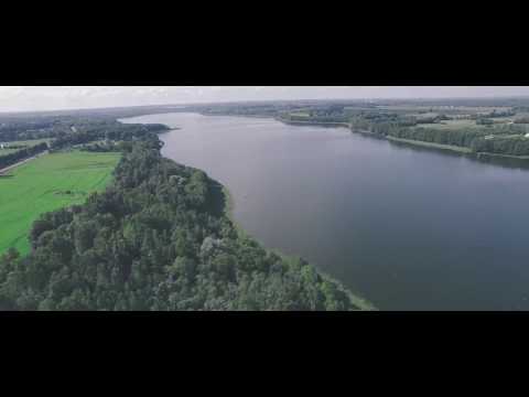 BACK TO THE ROOTS - Teaser #2