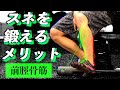 【筋トレ】前脛骨筋を鍛えるメリットとトレーニング方法