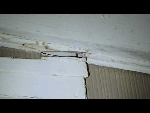 Yellow Jackets Harboring Above the Front Door in Basking Ridge, NJ