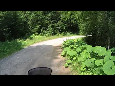 Izvorul Muntelui - Durau  155F   12.08.2017