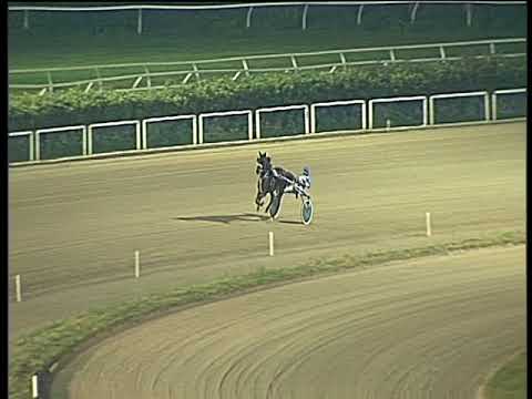 Trotto 31/12/2017 - prova di qualifica