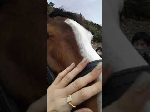 ハリケーンレーンの進路