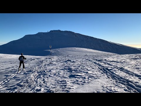 review traseu iarna Sinaia - Piciorul Pietrei Arse - Furnica + o reintalnire cu vulpita :)