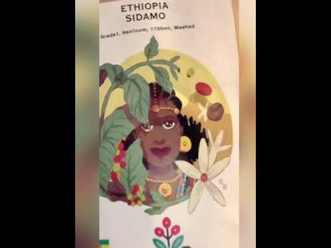 Oat Flat White - Andrea Cremone