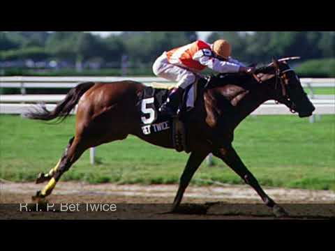 A Tribute To Bet Twice