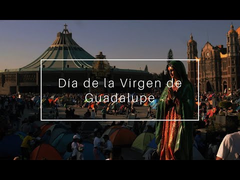 Basílica de Guadalupe thumbnail