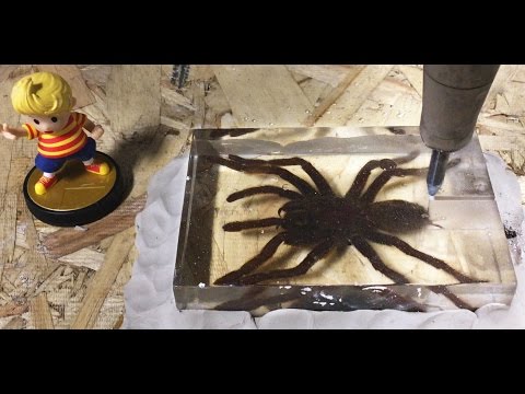 🕷️ Dissecting A Real Tarantula With A 60,000 PSI Waterjet Biology Lesson 🕷️  Interesting Video