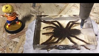 🕷️ Dissecting A Real Tarantula With A 60,000 PSI Waterjet Biology Lesson 🕷️  Interesting