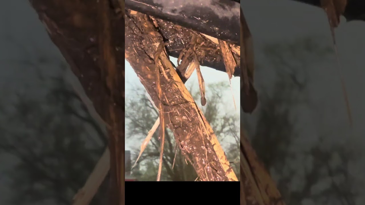 TORNADO launches corn cob at the Dominator 3!