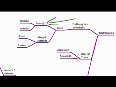 Motivation - Psychologie