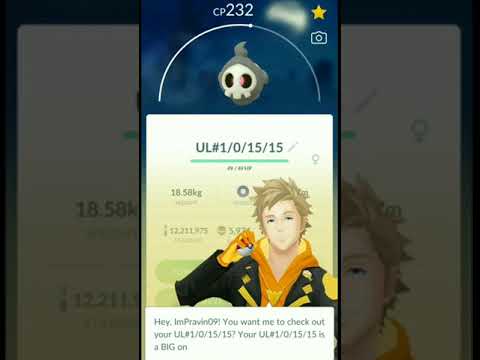Duskull Community Day Grind - 100iv + Shiny + Pvp Rank Duskull Caught In Pokemon Go | Shiny Pokemon