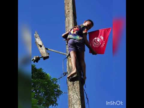 Bon Ara Kawa Uma rerei...