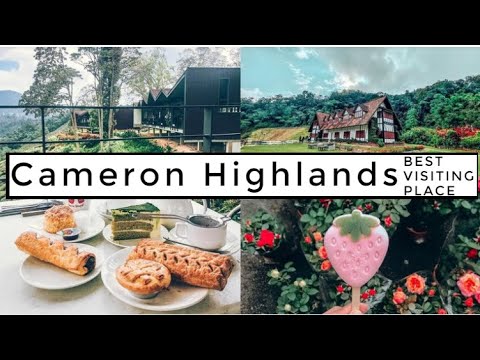 Kuala Lumpur to Cameron Highlands trip #telugu#malaysia#travel#farming#sivachandra#viral#trending
