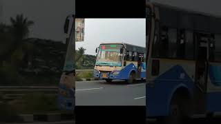 Tirunelveli Alvada - TNSTC and SETC bus  #shorts  